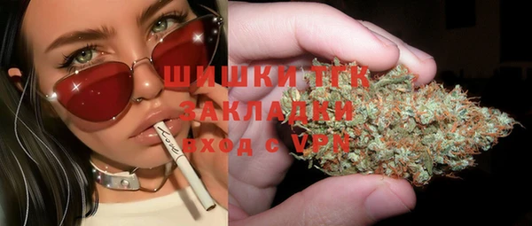 мет Инта