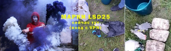 ешки Аркадак