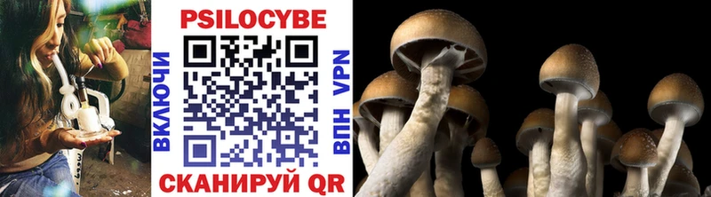 Галлюциногенные грибы Cubensis  сайты даркнета клад  Мезень 